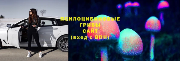 сатива Абдулино