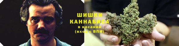 сатива Абдулино