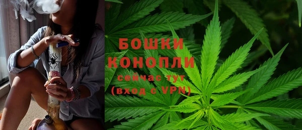 дмт Зеленодольск