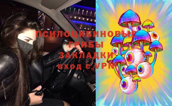прущий лед Алексин