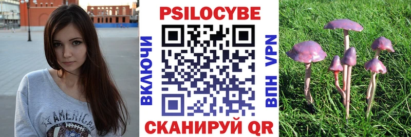 Псилоцибиновые грибы GOLDEN TEACHER  закладки  Владимир 
